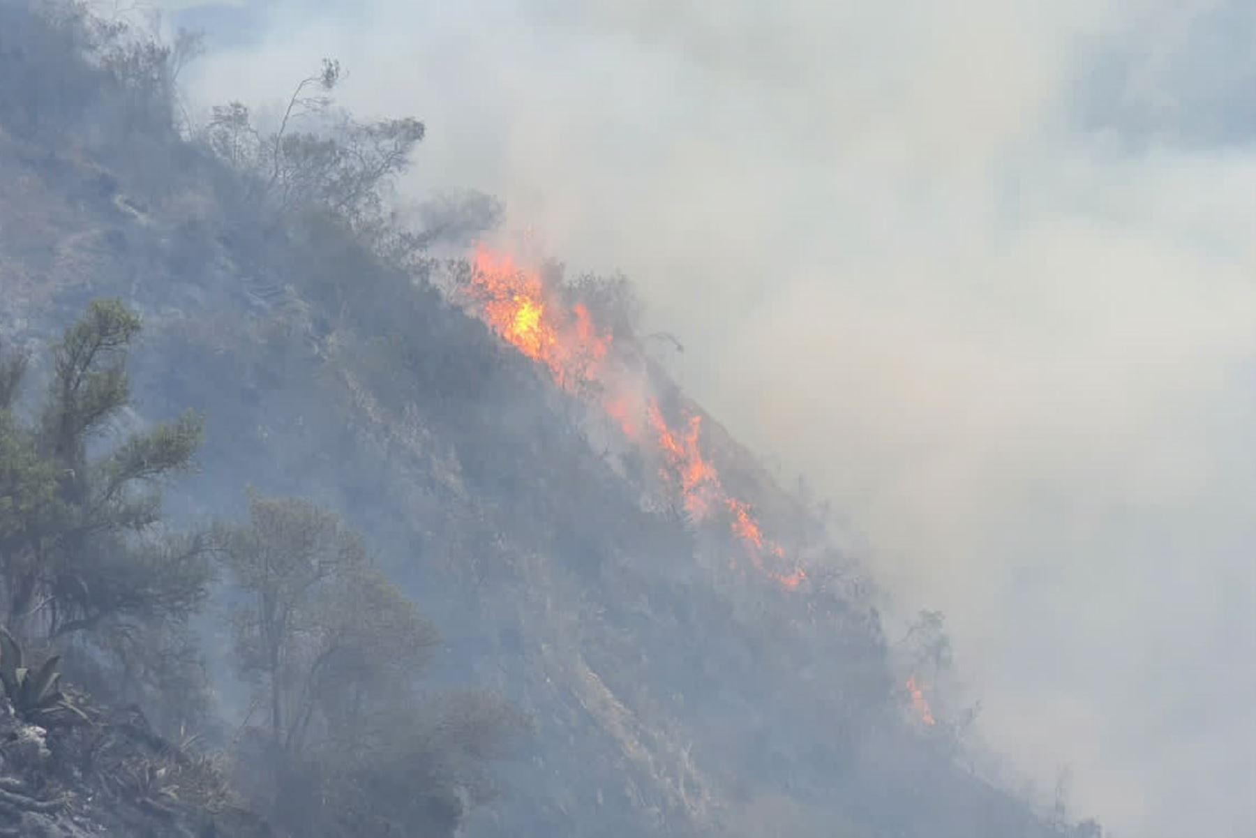 Incendio forestal se desató en la comunidad de Chonta, ubicada en el distrito de Limatambo, provincia cusqueña de Anta. ANDINA/Difusión