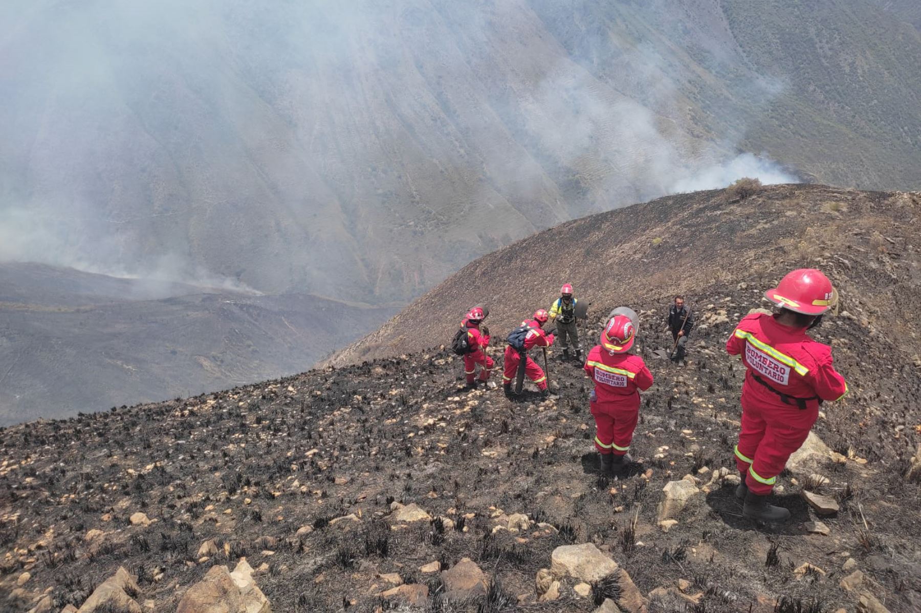 Bomberos de provincia cusqueña de Canchis lograron extinguir incendio forestal. ANDINA/Difusión