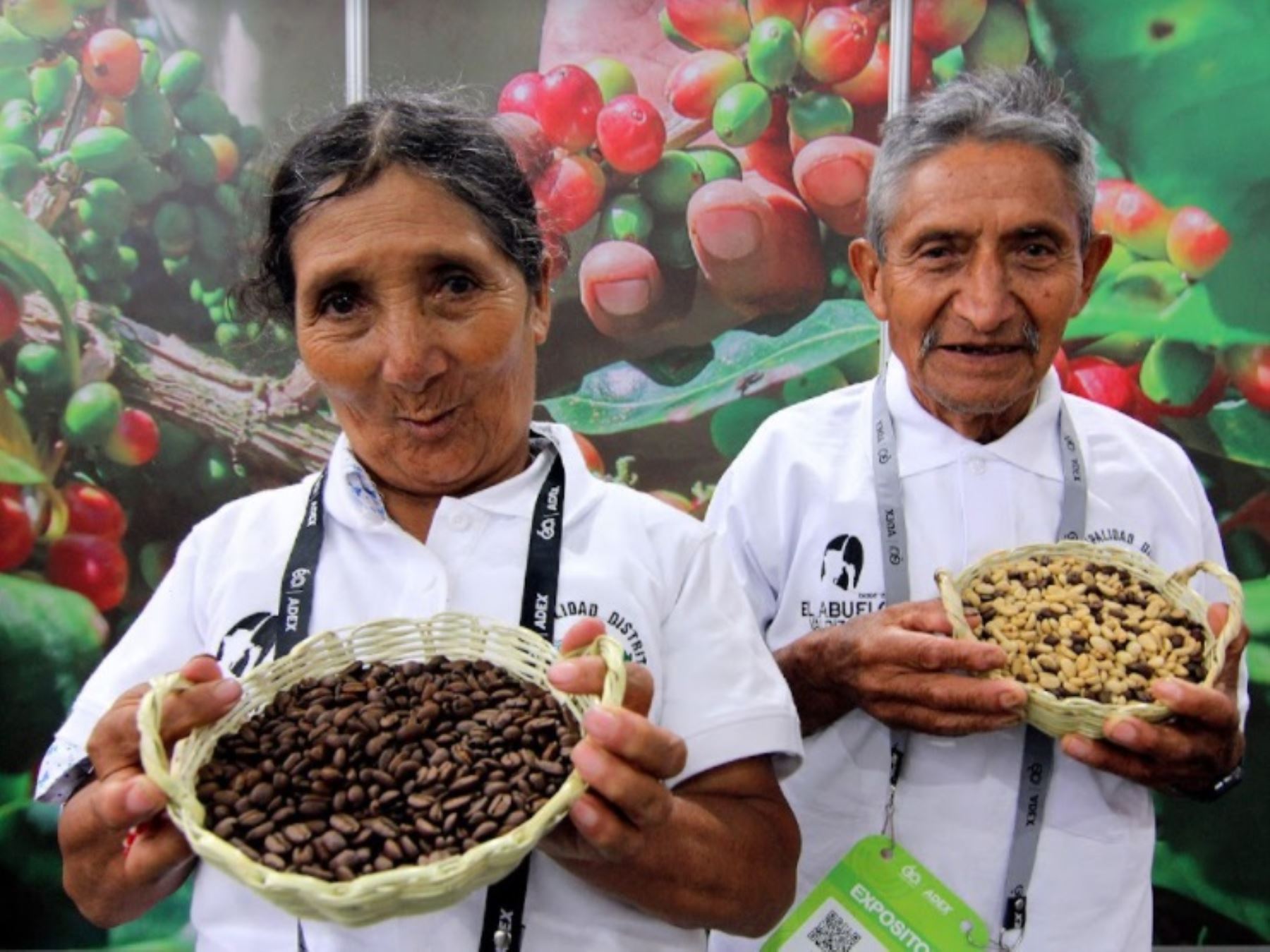 Con el Café El Abuelo Valdizano y Biohuerto de Altura, Adultos mayores triunfan en concurso Desafío Kunan 2021 que premia a los mejores emprendimientos sociales del Perú ANDINA/Difusión