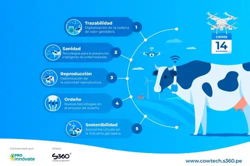 El Desafío de Innovación Abierta Cowtech busca contribuir al mejoramiento de la competitividad y sostenibilidad de la industria ganadera lechera. Foto: ANDINA/Difusión
