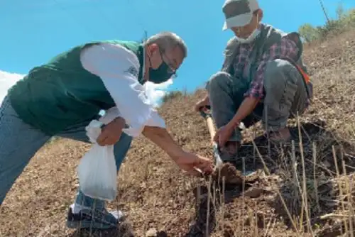 Mediante el proyecto "Suelos y agua", el INIA promueve diversas tecnologías en todo el país, con el fin de que los pequeños y medianos agricultores cuenten con los conocimientos adecuados para potenciar la calidad y competitividad de sus cultivos.