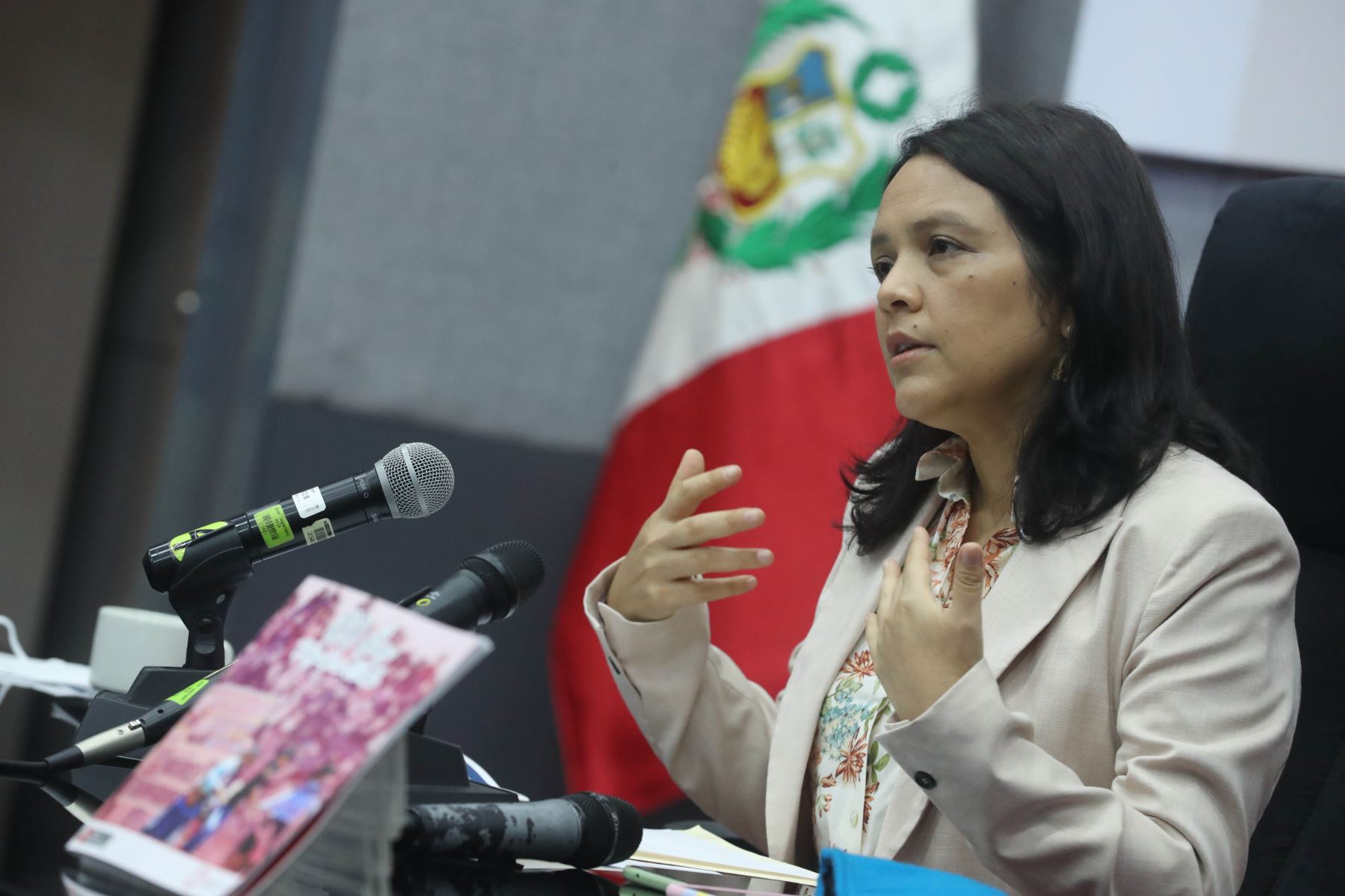 Ministra de la Mujer y Poblaciones Vulnerables, Anahí Durand. Foto: ANDINA/difusión.