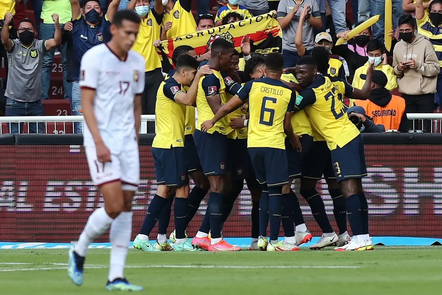 Jugadores de Ecuador celebran un gol de Piero Hincapie hoy, en un partido de las eliminatorias sudamericanas entre Ecuador y Venezuela para el Mundial de Catar en el estadio Rodrigo Paz Delgado en Quito (Ecuador). EFE/José Jácome POOL