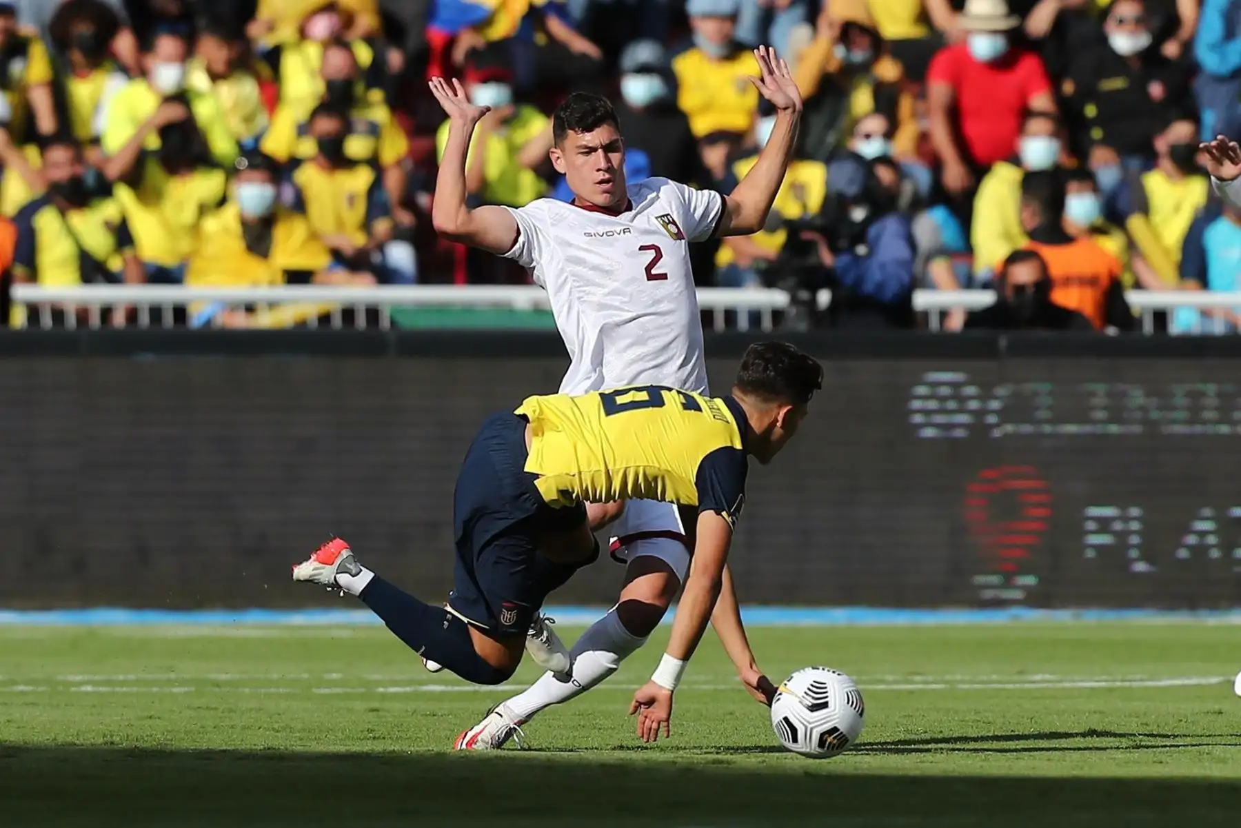 Byron Castillo (abajo) de Ecuador disputa el balón con Nahuel Ferraresi de Venezuela hoy, en un partido de las eliminatorias sudamericanas entre Ecuador y Venezuela para el Mundial de Catar 2022, en el estadio Rodrigo Paz Delgado, en Quito (Ecuador). EFE/ José Jácome POOL