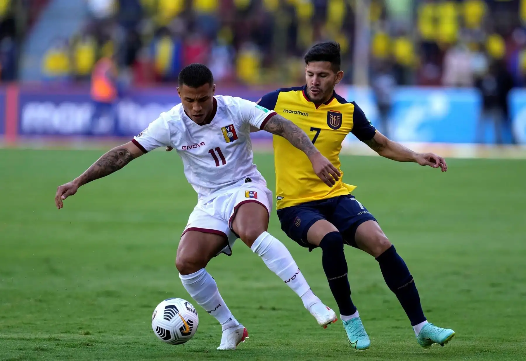 Christian Cruz de Ecuador disputa el balón con Darwin Machís de Venezuela hoy, en un partido de las eliminatorias sudamericanas entre Ecuador y Venezuela para el Mundial de Catar en el estadio Rodrigo Paz Delgado en Quito (Ecuador). EFE/Dolores Ochoa POOL