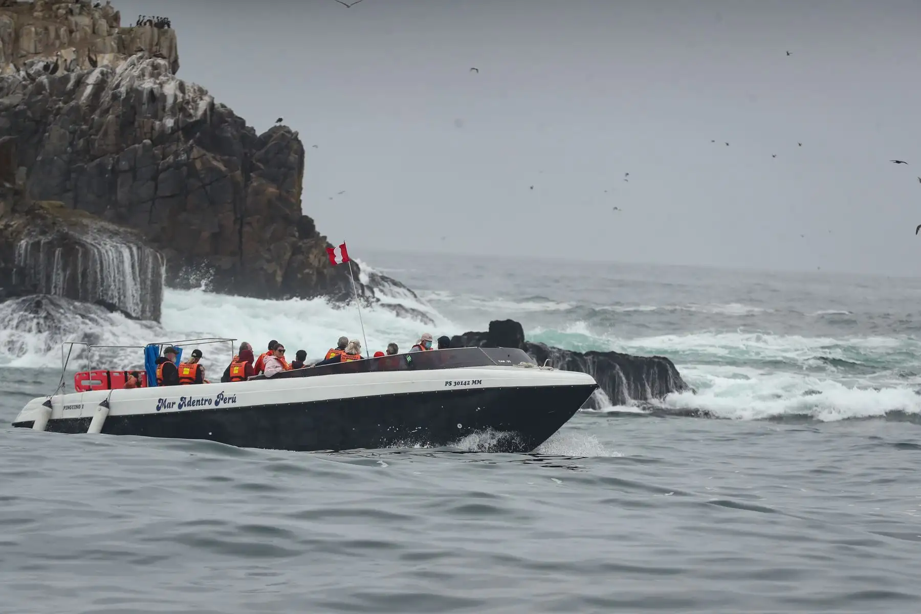 Como parte del plan de reactivación del turismo, el Gobierno Regional del Callao, reactiva la ruta turística a las Islas Cavinzas e Islotes Palomino que cuentan con el sello internacional “Safe Travels” y se encuentran dentro de la Zona de Desarrollo Turístico Marítimo Monumental.
Foto: ANDINA/Andrés Valle