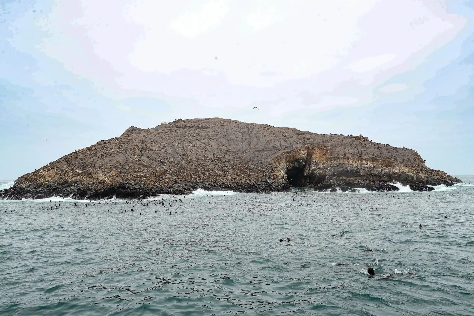 Como parte del plan de reactivación del turismo, el Gobierno Regional del Callao, reactiva la ruta turística a las Islas Cavinzas e Islotes Palomino que cuentan con el sello internacional “Safe Travels” y se encuentran dentro de la Zona de Desarrollo Turístico Marítimo Monumental.
Foto: ANDINA/Andrés Valle
