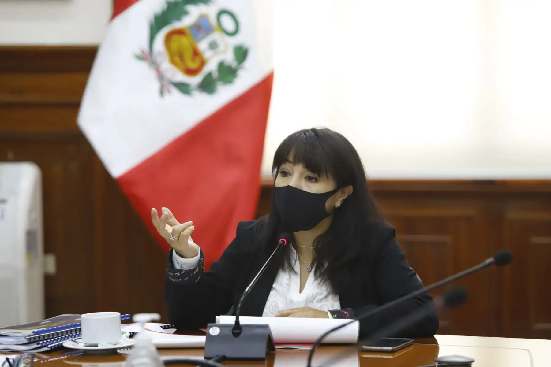 ANDINA/Difusión