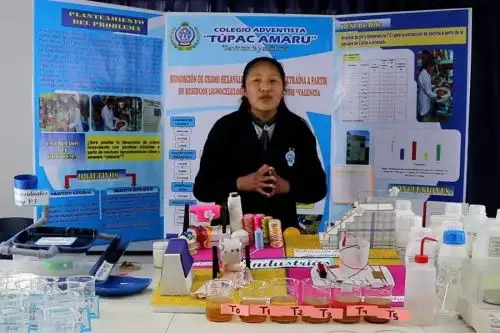 Estudiantes de todo el país compitieron con innovadores proyectos de investigación en la segunda edición de la feria virtual Perú con Ciencia. Foto: Concytec