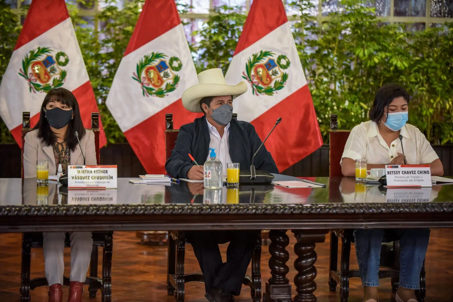 Presidente de la República, Pedro Castillo, asiste a la Sesión de reinstalación del periodo 2021 -2026 del Pleno del Consejo Nacional de Trabajo y Promoción del Empleo. Foto: ANDINA/Prensa Presidencia