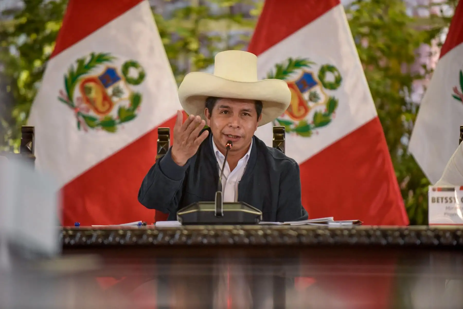 Presidente de la República, Pedro Castillo, asiste a la Sesión de reinstalación del periodo 2021 -2026 del Pleno del Consejo Nacional de Trabajo y Promoción del Empleo. Foto: ANDINA/Prensa Presidencia