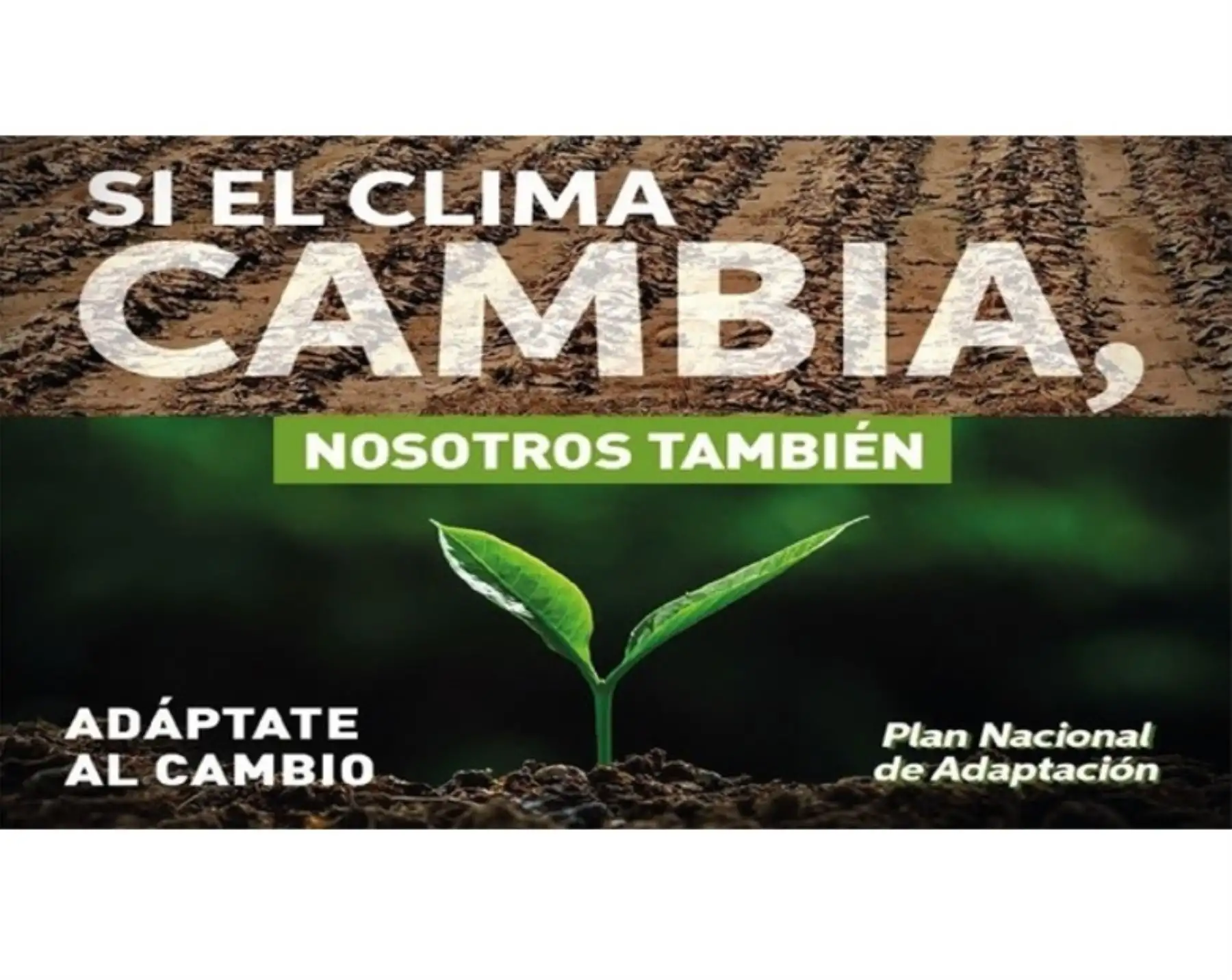 Ministerio del Ambiente pone en marcha campaña para concientizar sobre lucha contra el cambio climático.