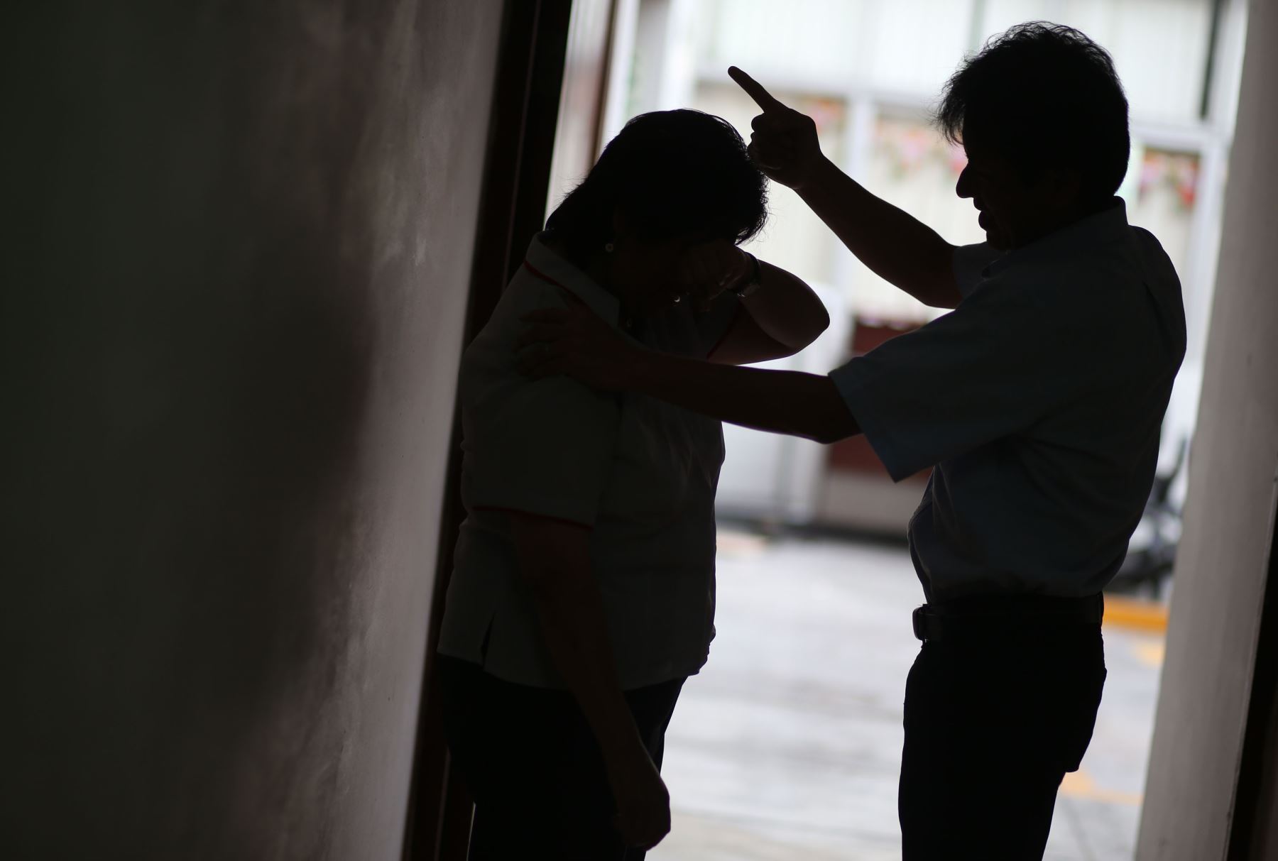 Durante enero último se registraron 10,475 casos de violencia física, según el informe del Programa Nacional Aurora del Mimp. Foto: ANDINA/Difusión