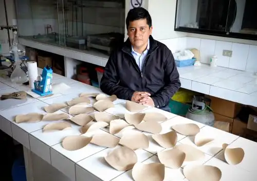 Se busca elaborar un papel envoltorio a partir de fibras vegetales de bambú, recicladas y reforzadas con nanocelulosa.