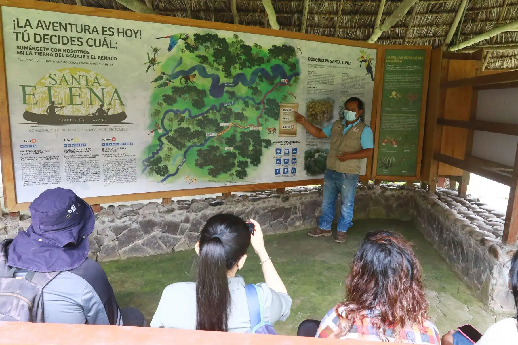 La Reserva Ecológica Santa Elena es un lugar privilegiado porque se encuentra en la zona de Conservación y Recuperación de Ecosistemas. Entre sus actividades turísticas están el paseo en bote, observación de flora y fauna.
Foto: ANDINA/ Eddy Ramos