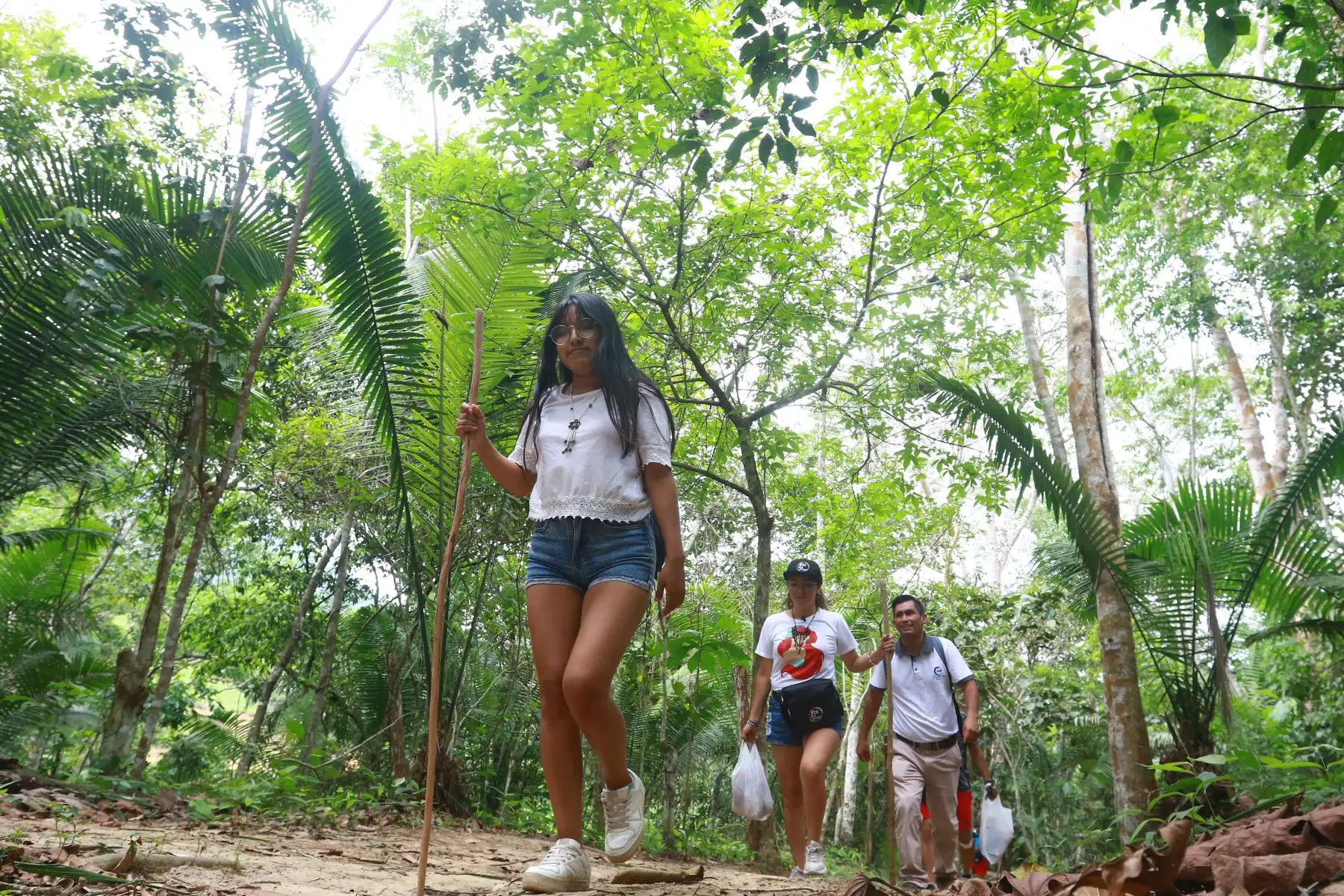 Cascada de Pucayaquillo, ubicada a la altura del km16 de la carretera Chazuta y luego una caminata de 45 minutos.
Foto: ANDINA/ Eddy Ramos