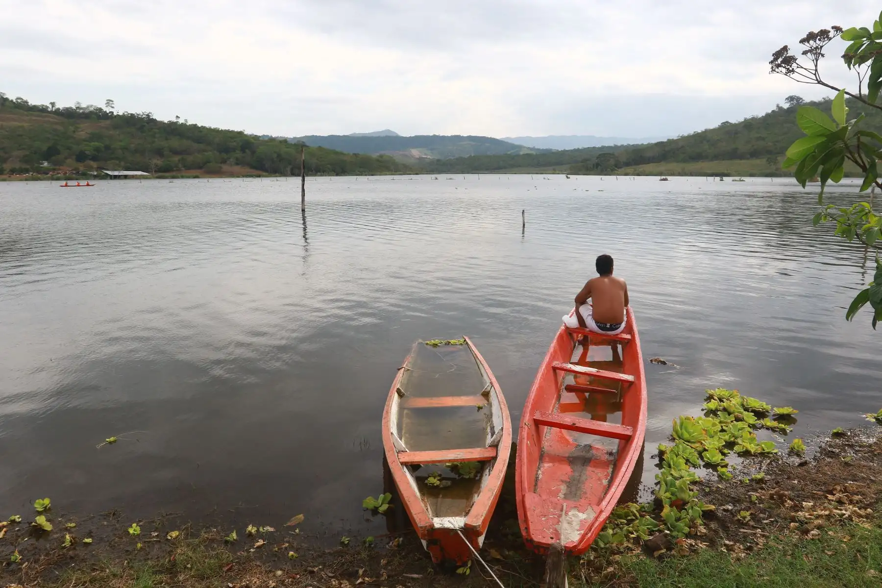 Laguna Ricuracocha, ubicada a 13.6 kilometros de la Plaza de Tarapoto , en el Centro Poblado Santa Rosa de Cumbaza.
Foto: ANDINA/ Eddy Ramos