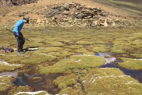 Los bofedales son importantes para mantener la biodiversidad, actúan como unas esponjas gigantes que previenen las inundaciones en periodos húmedos. Foto: ANDINA/difusión.
