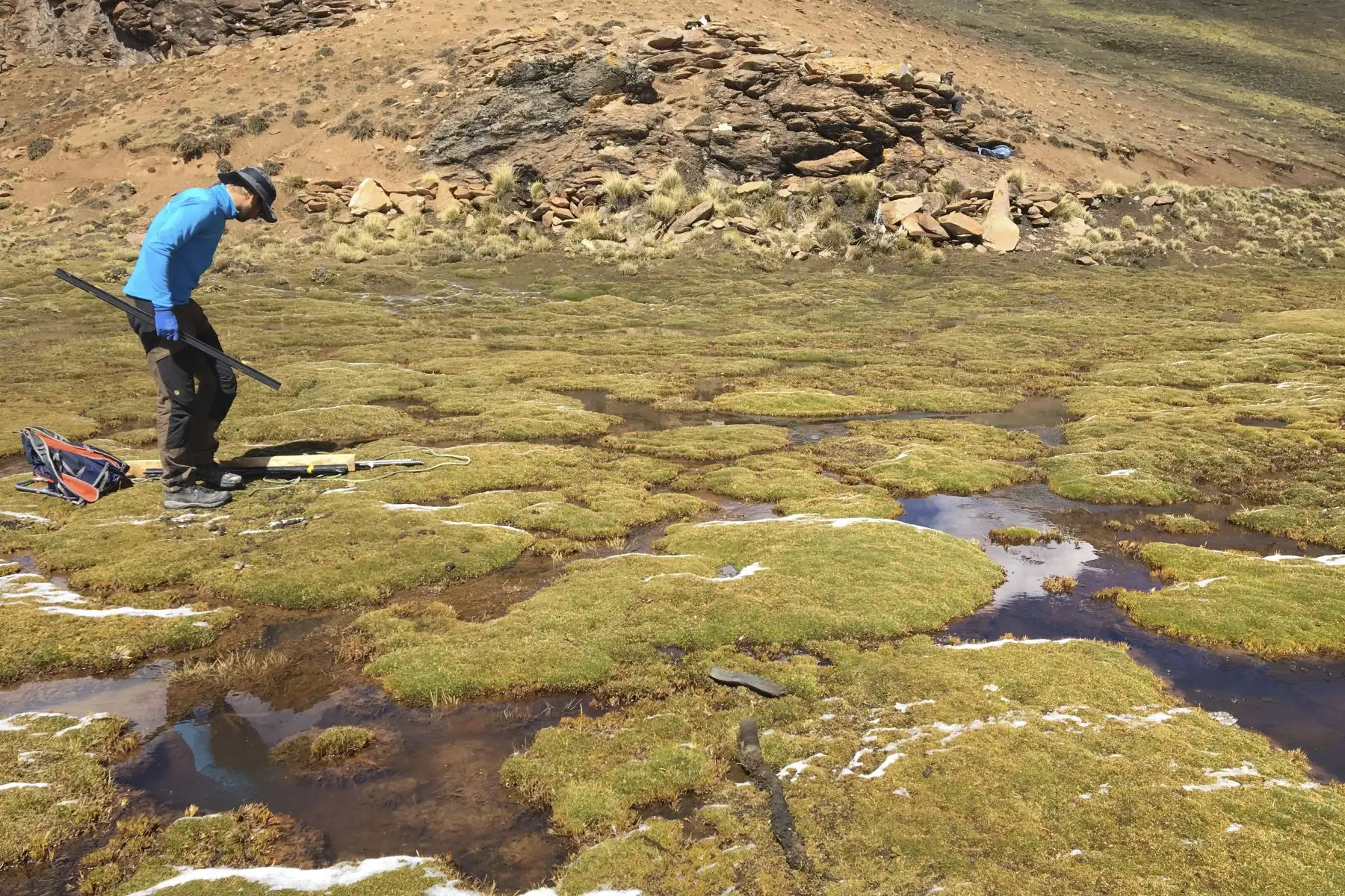 Los bofedales son importantes para mantener la biodiversidad, actúan como unas esponjas gigantes que previenen las inundaciones en periodos húmedos. Foto: ANDINA/difusión.
