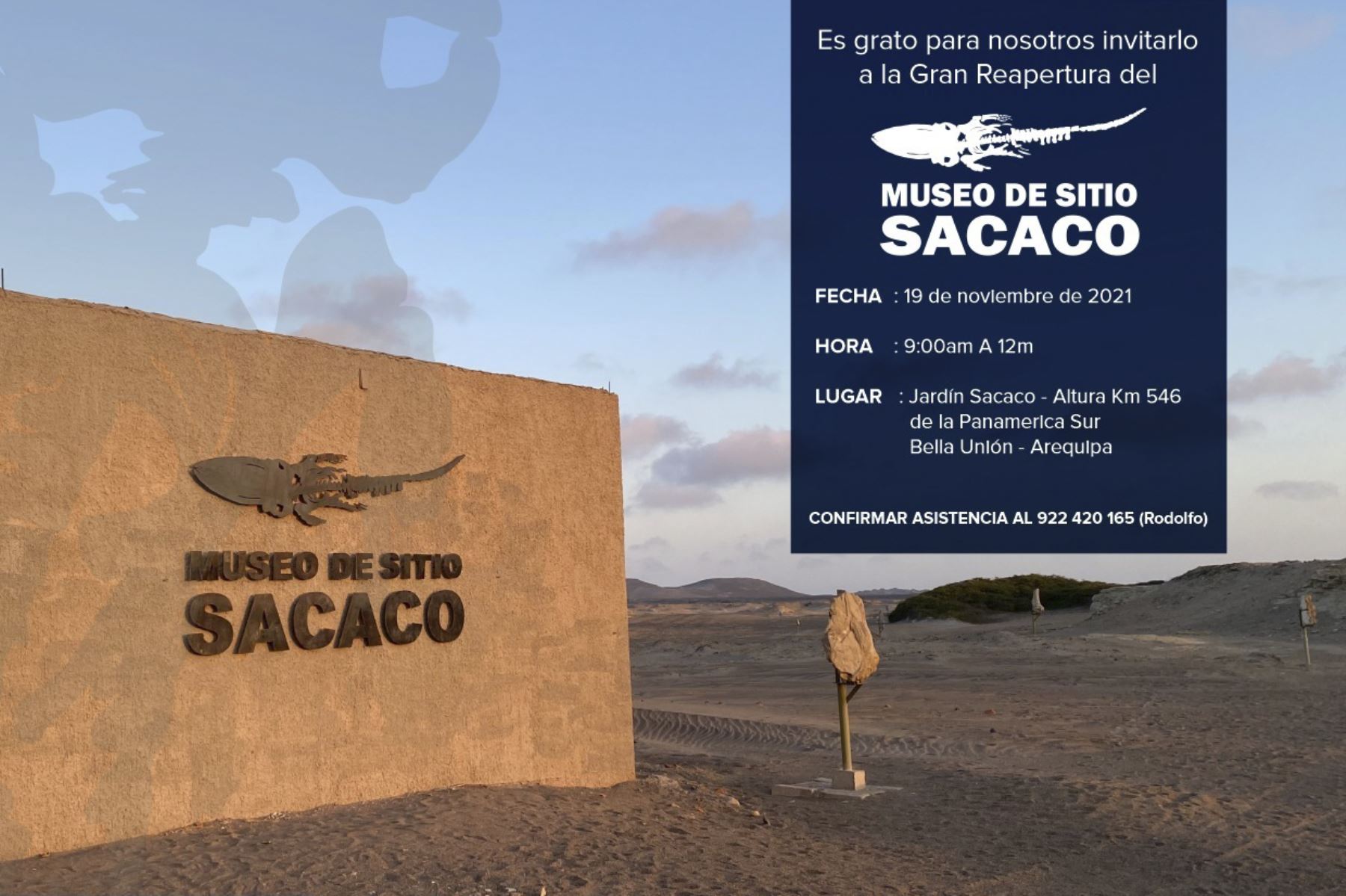 El Museo de Sitio Sacaco está ubicado a 546 kilómetros al sur de Lima, en el desierto del norte de Arequipa. Foto: ANDINA/Proyecto Las ballenas del desierto