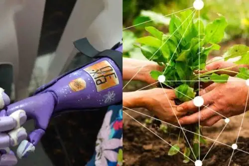 Agros y PIXED son las dos empresas que competirán en el programa global.