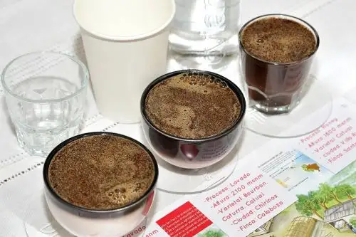 Cata de café