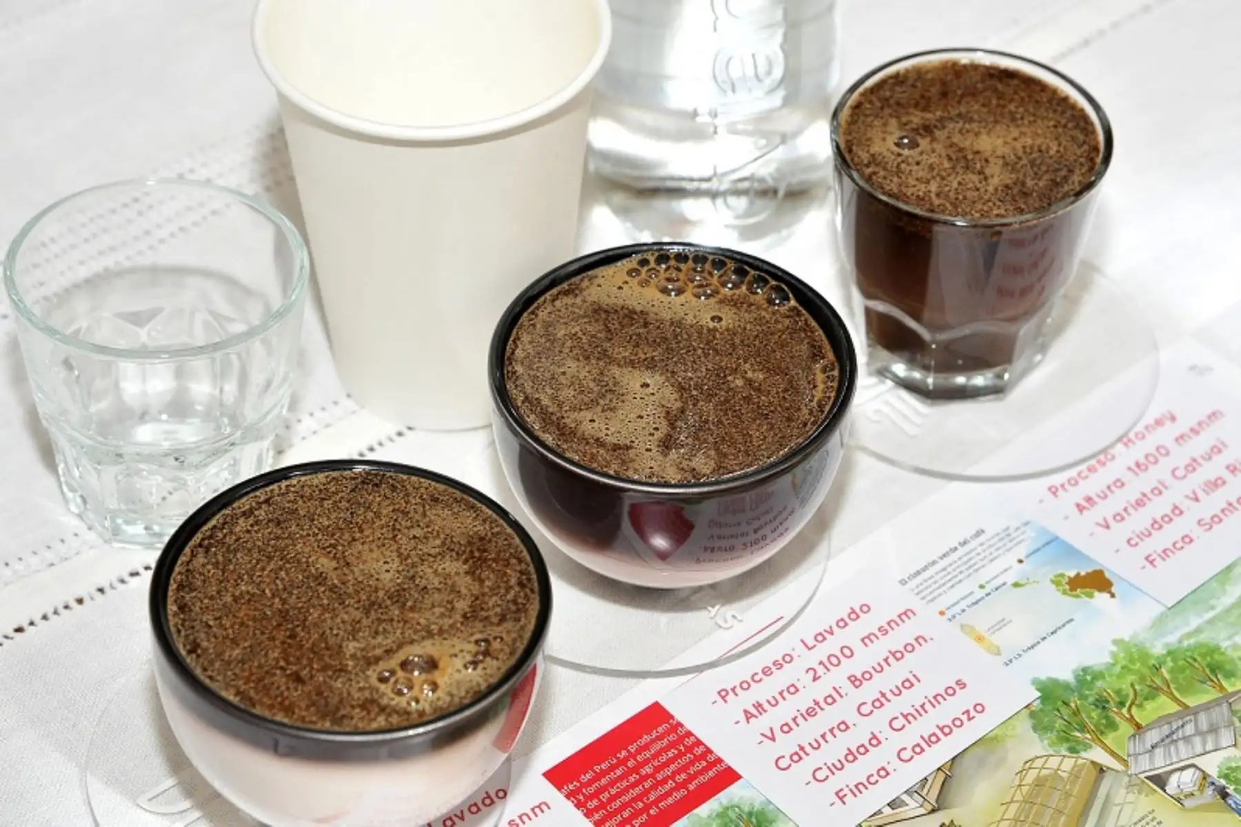 Cata de café
