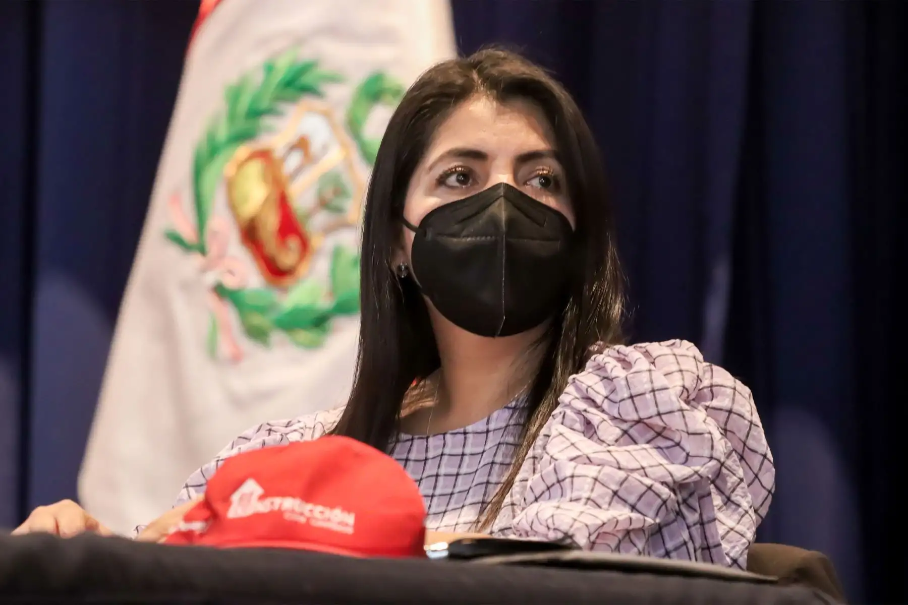 El acuerdo de gobierno a gobierno requiere de sinergias con empresas privadas, afirmó la directora ejecutiva de la Autoridad para la Reconstrucción con Cambios. Foto: ANDINA/difusión.
