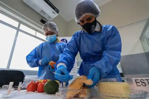 Investigadores del INS recolectaron y analizaron un total de 2055 muestras. Foto: INS