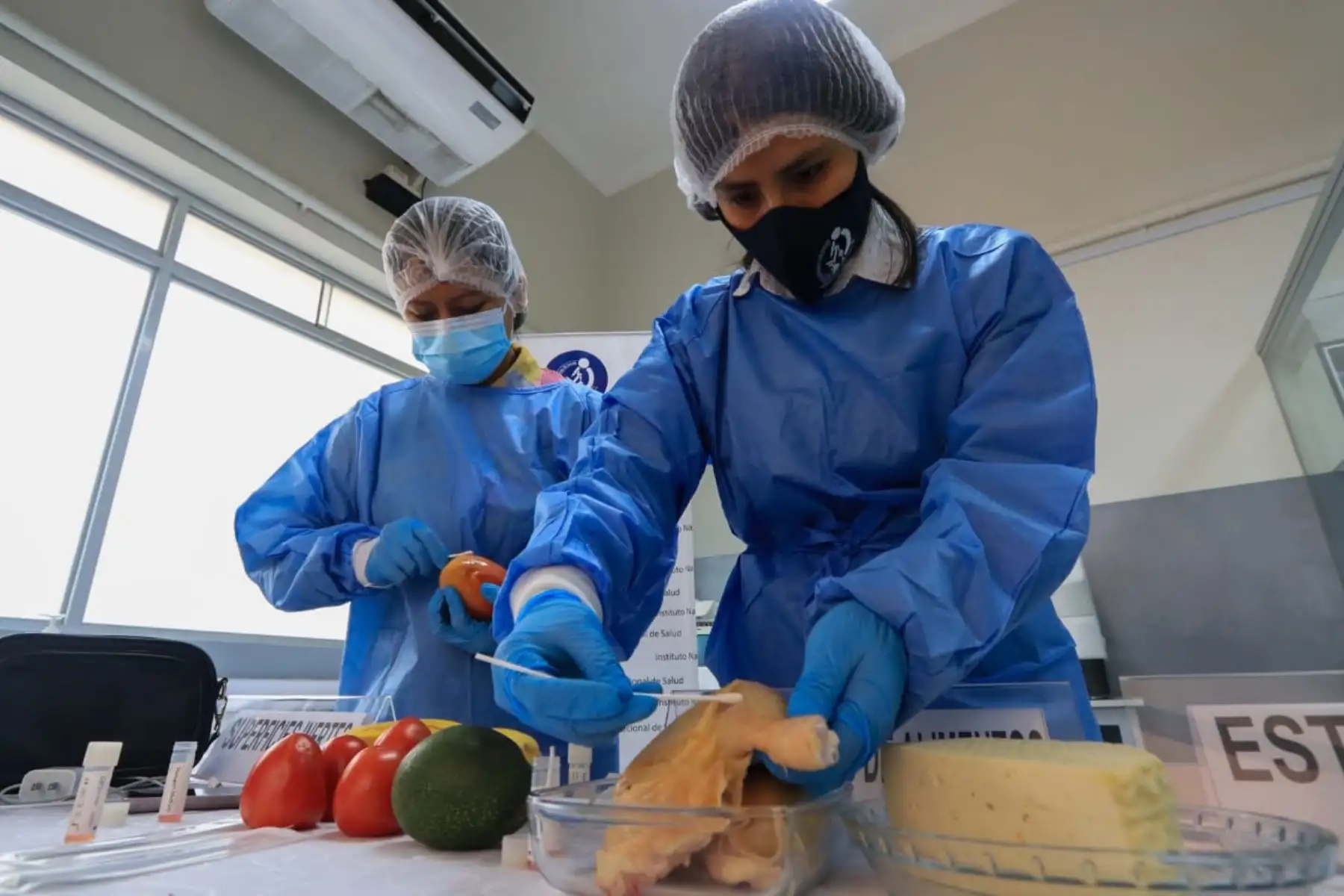 Investigadores del INS recolectaron y analizaron un total de 2055 muestras. Foto: INS