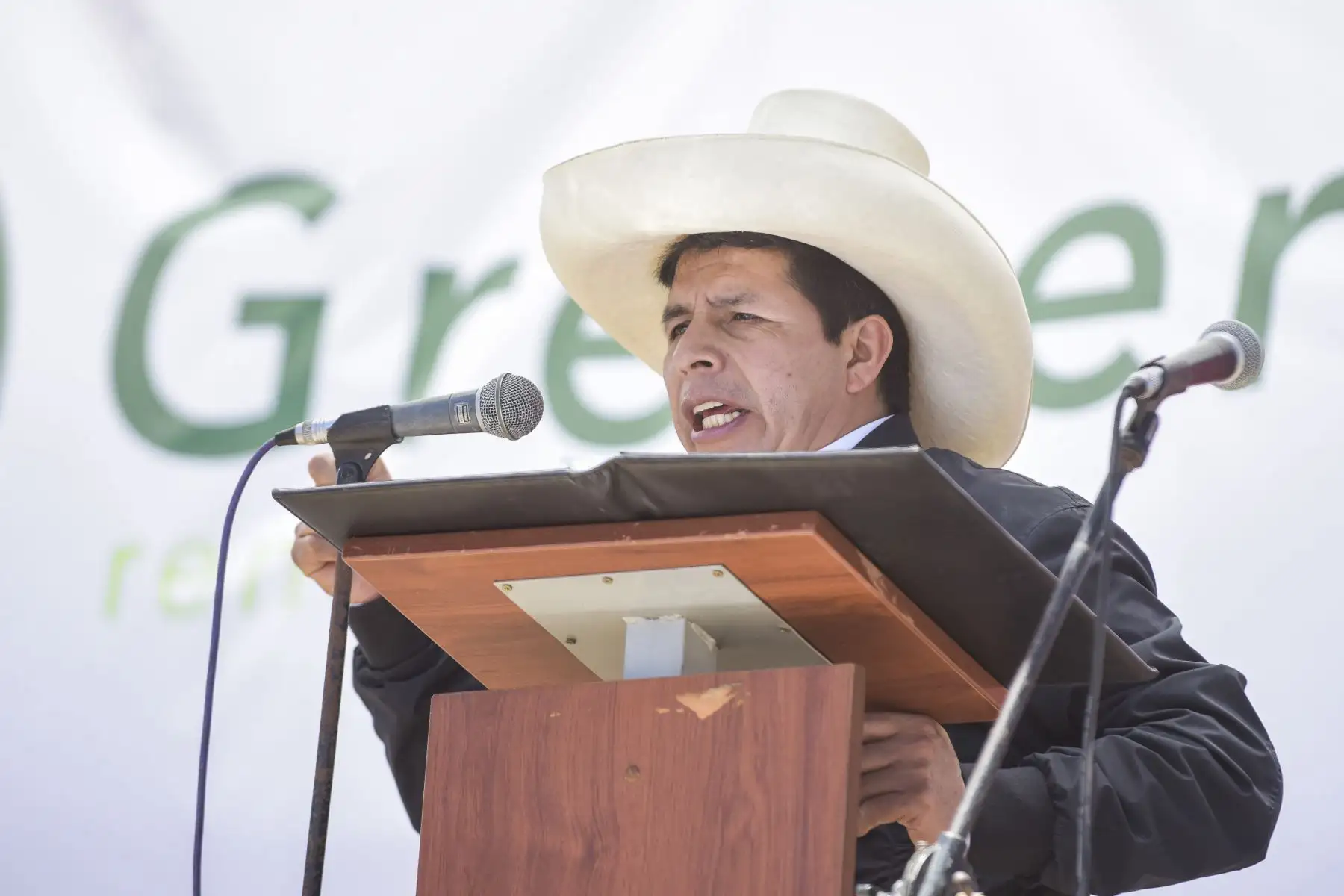 Foto: ANDINA/Prensa Presidencia.