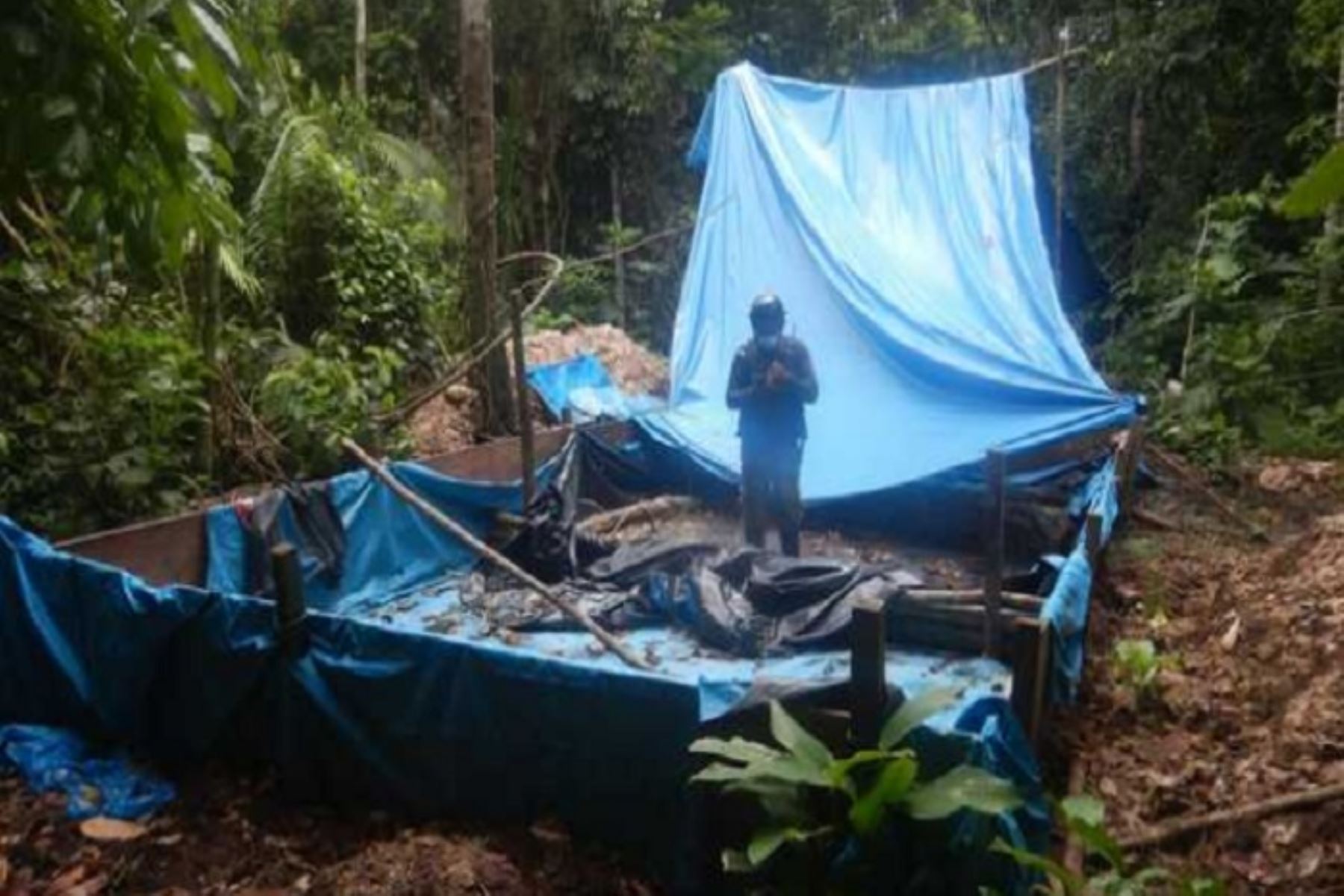 Como parte de esta intervención se destruyó una poza de maceración de cinco metros de ancho, 11 metros de largo y 70 centímetros de altura, donde se habían procesado 2,880 kilos de hoja de coca ilegal.