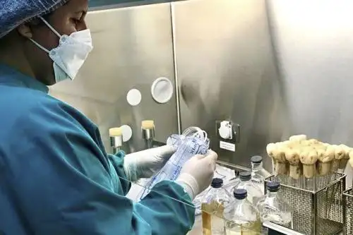 El Centro Nacional de Control de Calidad (CNCC) del INS formará parte de la Red OMS de Laboratorios Nacionales de Control de Productos Biológicos. ANDINA/ INS