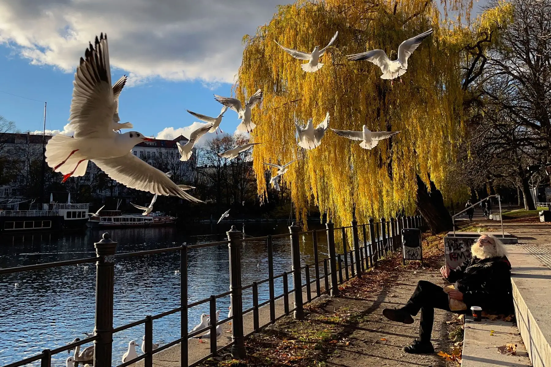 Un hombre alimenta a las gaviotas desde las orillas del Canal Landwehr mientras el sol brilla en el distrito de Kreuzberg. Foto: AFP