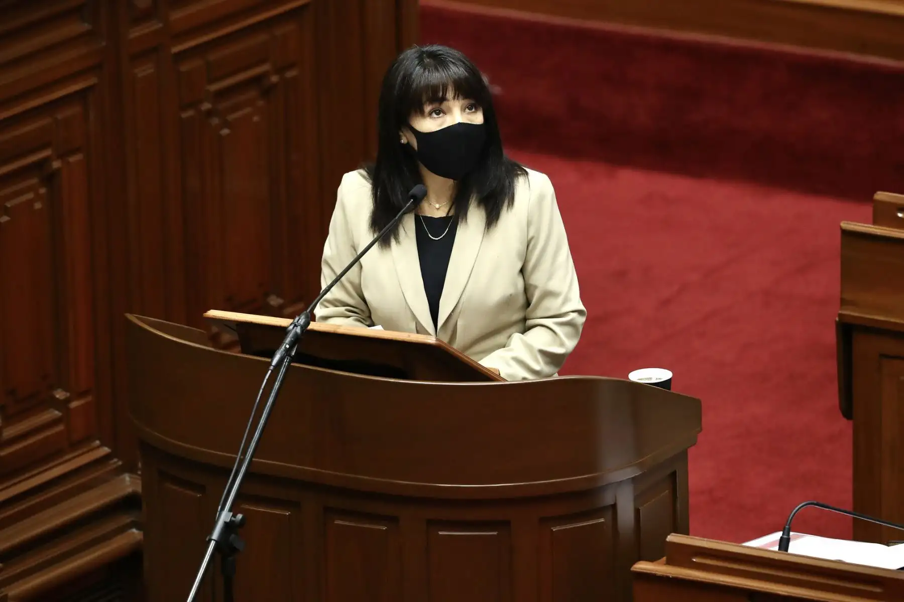 Foto: ANDINA/difusión.
