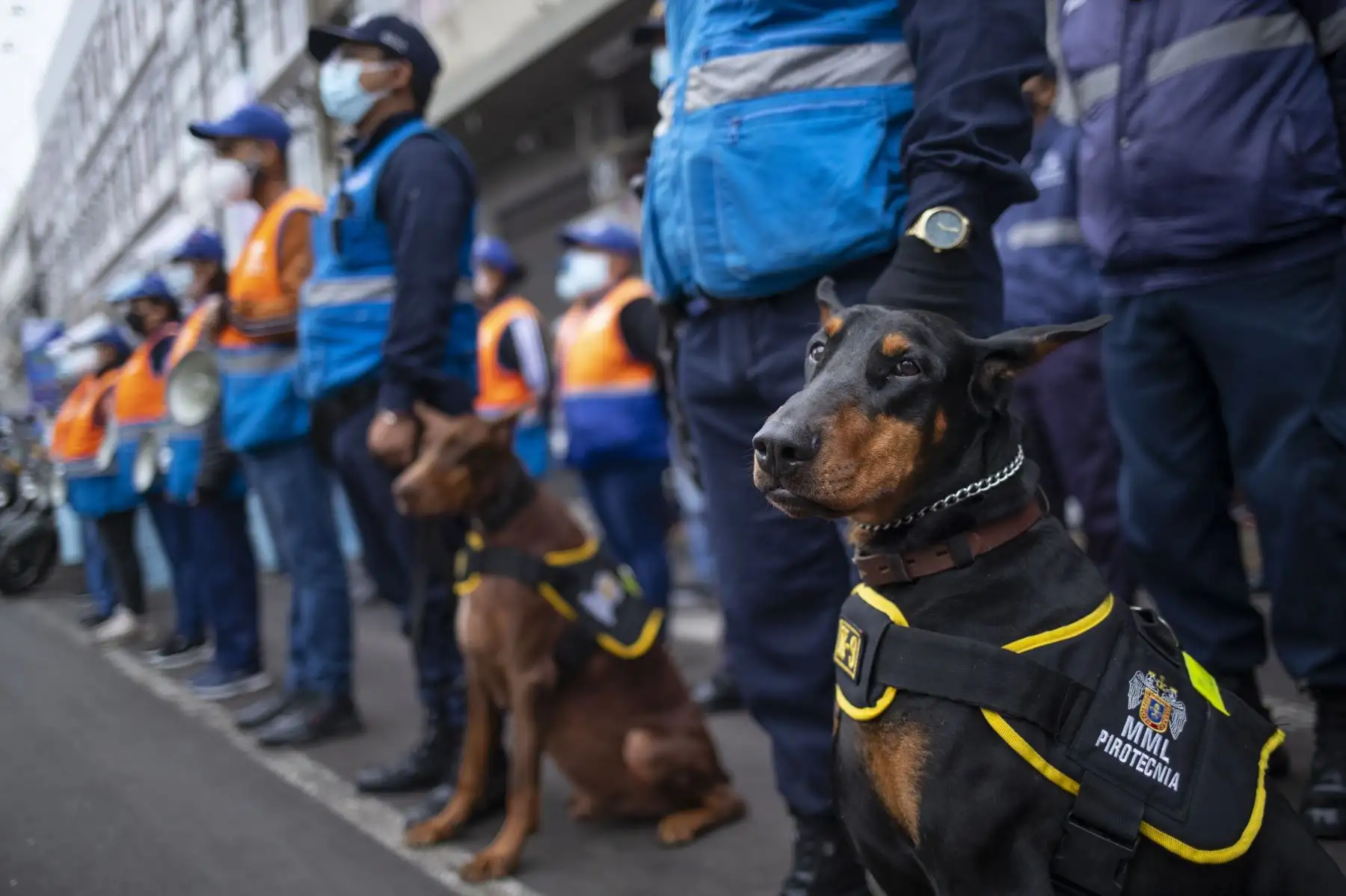 Asimismo, permitirá atender de manera rápida y oportuna las emergencias que puedan presentarse en este sector, ya que el personal que lo integra está permanentemente comunicado con el Centro de Operaciones de Emergencia Regional de Lima (COER) y las instituciones de primera respuesta.
Foto: ANDINA/Municipalidad de Lima
