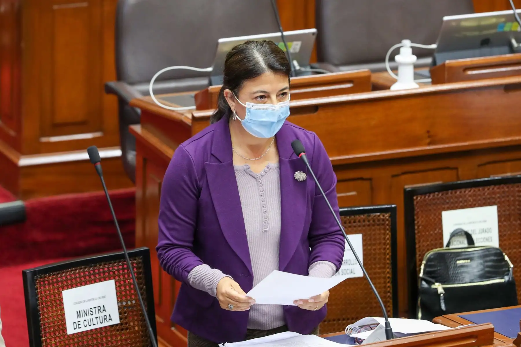 Ministra de Cultura, Gisela Ortiz, en el Congreso de la República. Foto: PCM.