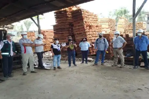 De acuerdo con los datos del Sigosfc, Ucayali posee 4,3 millones de metros cúbicos autorizados de árboles maderables.