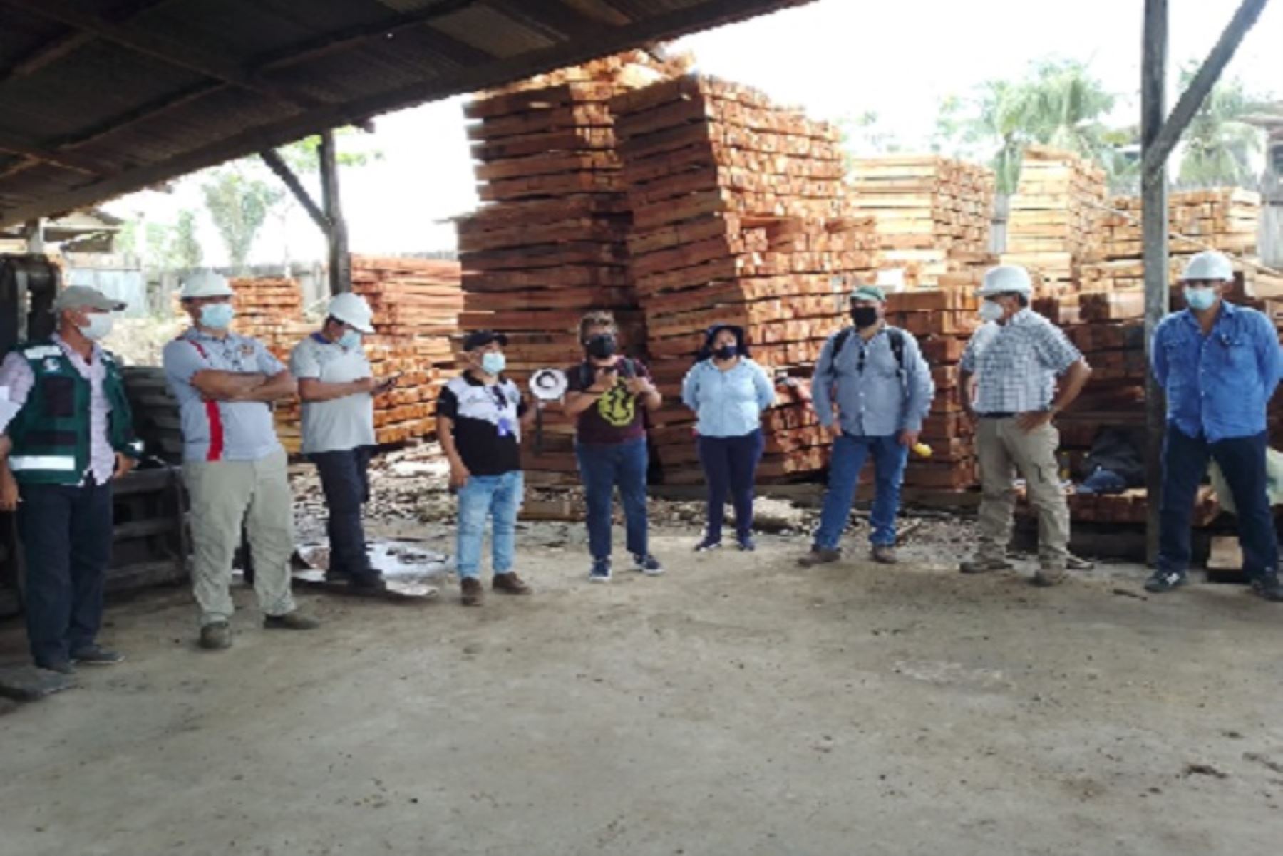 De acuerdo con los datos del Sigosfc, Ucayali posee 4,3 millones de metros cúbicos autorizados de árboles maderables.