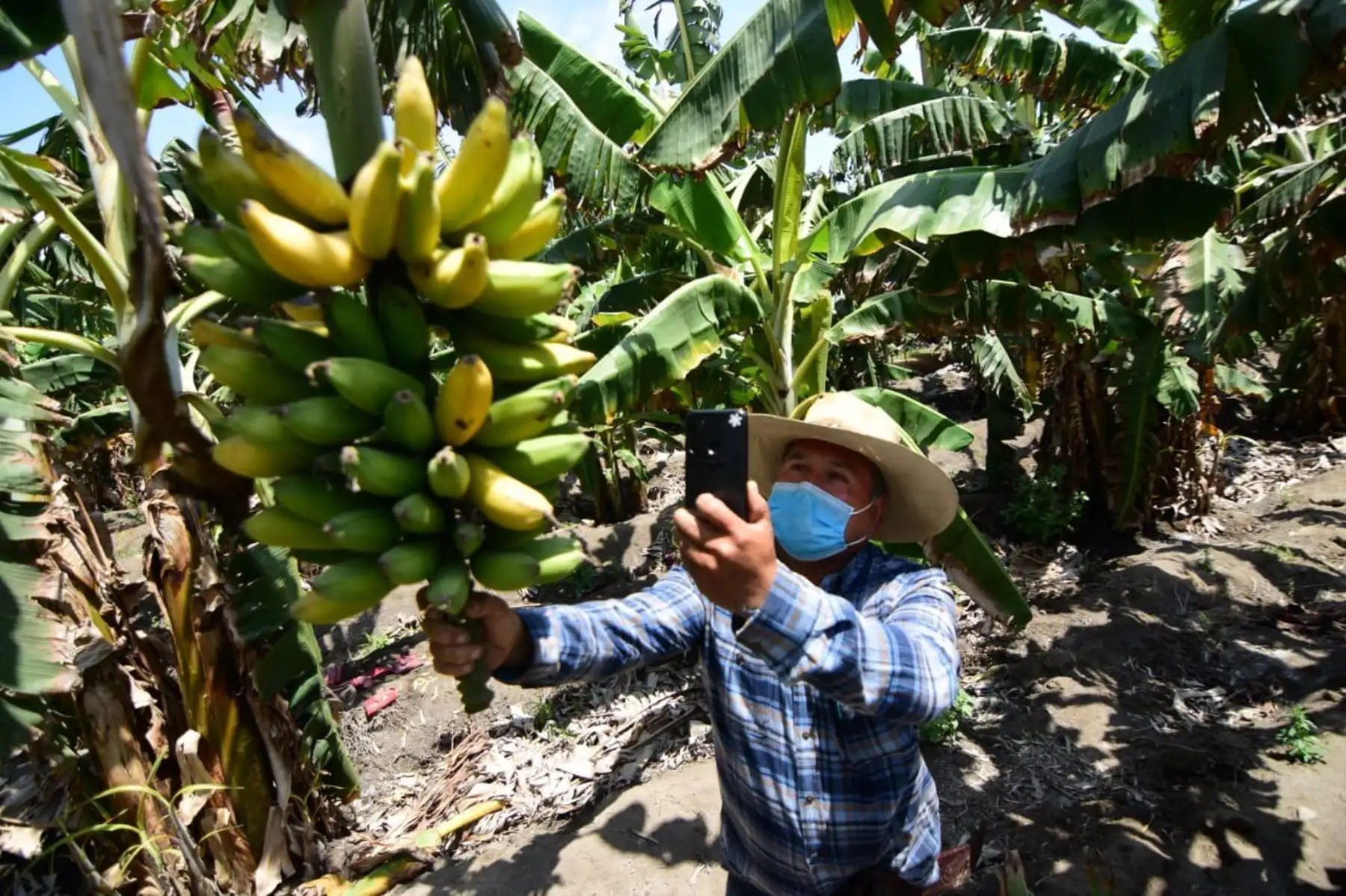 Los productores agrarios se benefician con el acceso a internet en las zonas rurales.