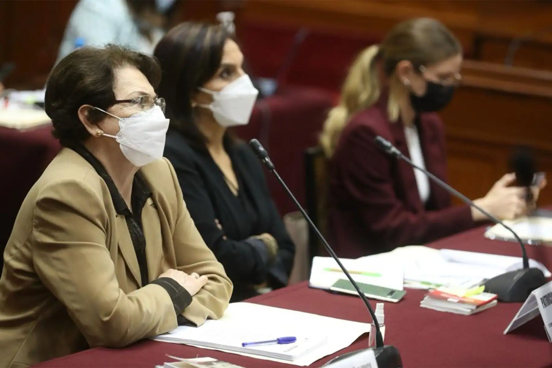 Foto: Congreso.