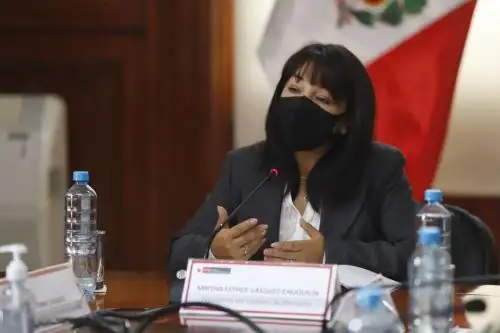 ANDINA/Difusión