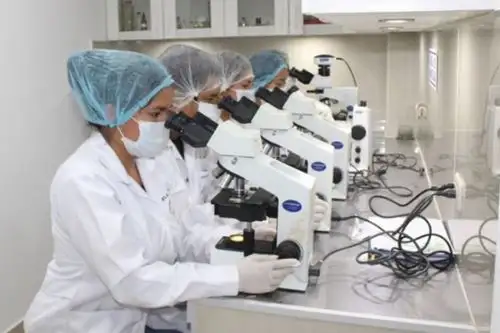 Innovación. Foto: ANDINA/Difusión