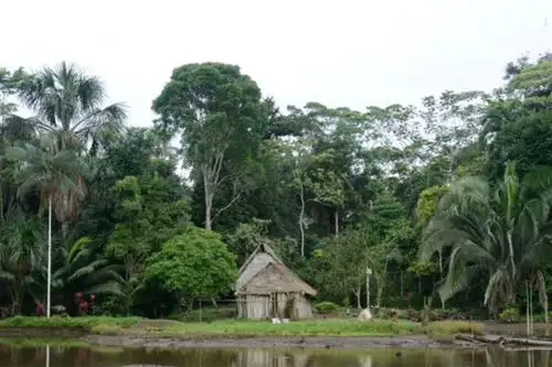 El Ministro del Ambiente, Rubén Ramírez, reconoció que gracias al trabajo coordinado con 274 comunidades nativas, el Perú cuenta hoy con 2.9 millones de hectáreas de bosques conservados. ANDINA/ Minam