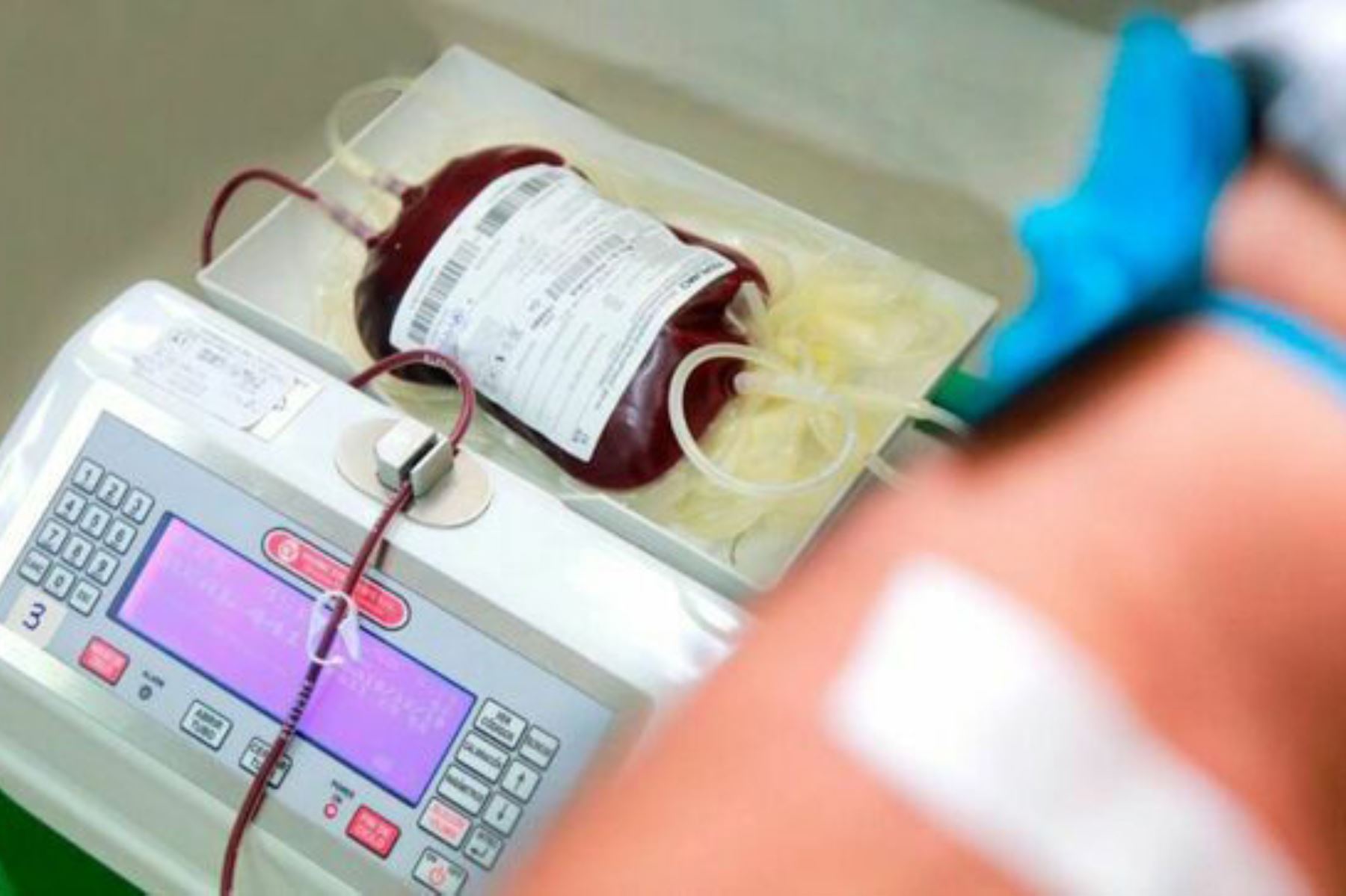 La Dirección General de Donaciones, Trasplantes y Banco de Sangre (Digdot) del Minsa informó que a través de 30 hospitales lograron recaudar 1,945 unidades de sangre.  ANDINA/ Minsa