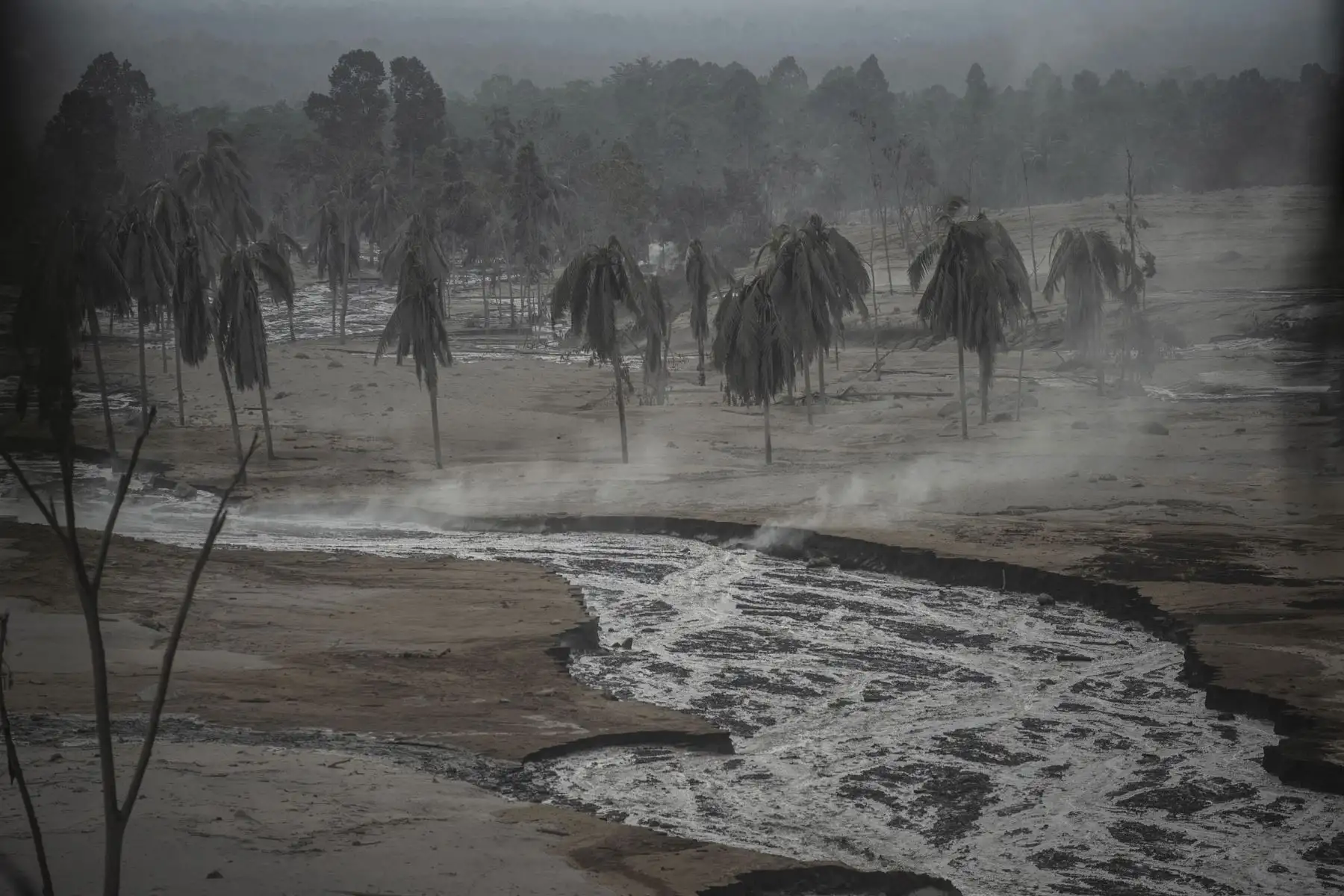 Un área cubierta de ceniza volcánica en la aldea de Sumber Wuluh, en Lumajang, Indonesia. Foto: AFP
