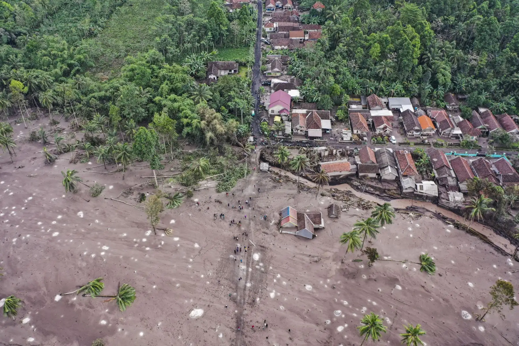 Esta fotografía aérea tomada en la aldea de Sumberwuluh el 6 de diciembre de 2021 en Lumajang muestra casas y camiones cubiertos de ceniza tras una erupción volcánica del monte Semeru que mató al menos a catorce personas.  Foto: AFP