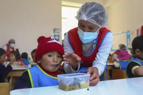 Ministra Dina Boluarte expuso avances sobre la primera infancia en la Cumbre Nutrición para el Crecimiento de Tokio 2021. Foto: ANDINA/Difusión