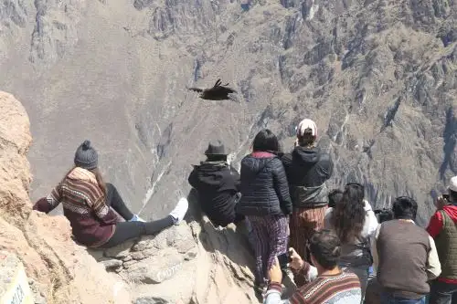 Mirador de la Cruz de Cóndor en el valle del Colca, en la provincia arequipeña de Caylloma. Foto: ANDINA/Eddy Ramos