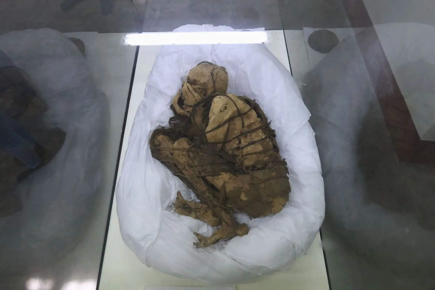 Universidad Nacional Mayor de San Marcos presenta al mundo a la "Momia de Cajamarquilla", hallada por arqueólogos sanmarquinos dentro de una cámara funeraria de unos tres metros de largo y a una profundidad de 1.40 metros en el sitio arqueológico Cajamarquilla, al este de Lima. Foto: ANDINA/Jhonel Rodríguez